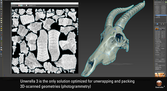 unwrella optimal photogrammetry features